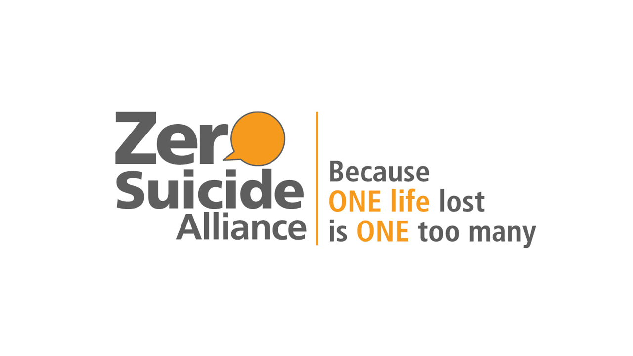 ZSA-article